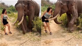 大象 遊客 撞飛 （圖／翻攝自DJ FRESHMAKER　IG）