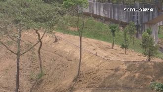 獨／電塔旁剩光禿黃土！承租人：合法整地