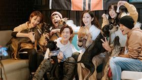 TOPDOG(三立提供）