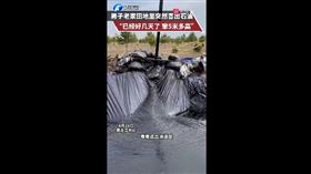 土地噴出石油（圖／翻攝自微博）