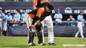 ▲統一獅捕手林岱安受傷。（圖／記者劉彥池攝影）