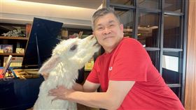 澎恰恰,澎恰恰（圖／固力狗提供）