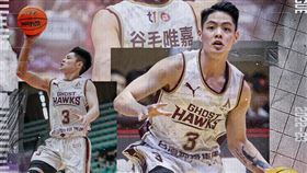 ▲臺南台鋼獵鷹谷毛唯嘉獲得年度第六人殊榮。（圖／T1聯盟提供）