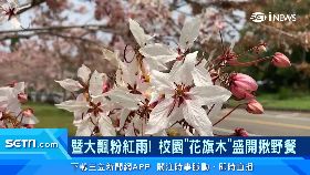 五一假賞花1200