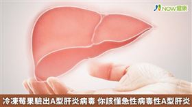 名家專用／A型肝炎的致死率低（約千分之3）；造成死亡的情形多半為猛爆型肝炎，通常發生於老年患者或慢性肝病患者（包括慢性B型、C型肝炎病毒感染者）。（勿用）