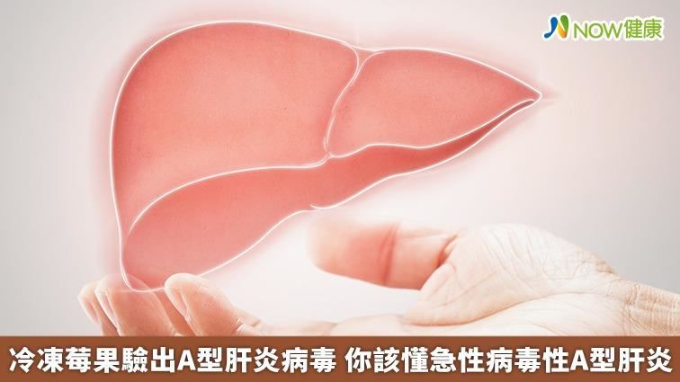 莓果驗出肝炎病毒　你該懂的「A型肝炎」
