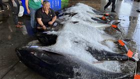 「捷安號」船長鄭國靜捕獲9尾黑鮪魚台東新港漁港「捷安號」船長鄭國靜（左3）捕到的黑鮪魚經常被海豚吃到剩魚頭，被封「魚頭船長」，1日他一口氣拉上9尾，且都是完整的，一舉洗刷「魚頭船長」頭銜。（陳錦泰提供）中央社記者盧太城台東傳真  112年5月2日