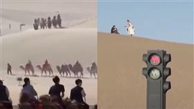 駱駝,塞車,紅綠燈,沙漠