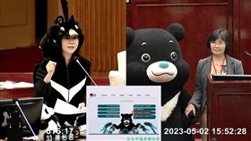 民進黨台北市議員議員陳怡君昨（2）天質詢時換上「台灣黑熊裝」，除了點出「動物園不關心亞洲黑熊」外，也質疑「熊讚」公開行程少得可憐。（圖／翻攝自台北市議會）