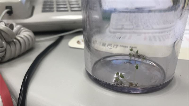 沒洗杯子！連假完驚見「超強生命力」嚇呆