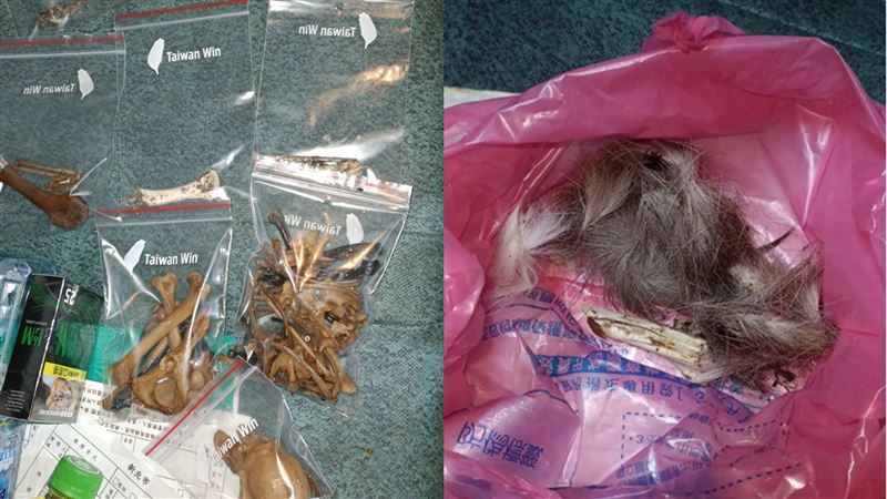 汐止居民難忍動物慘叫　竟是移工宰殺山羌