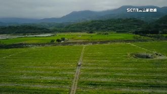 護瓜出新招！警出動空拍機巡邏萬頃西瓜田