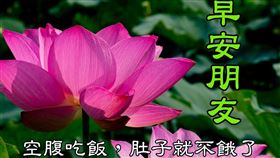 長輩圖2.0！黃偉哲宣傳白河蓮花超有梗（業配勿用）