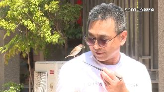 記得救命恩人！麻雀野放後帶妻兒回家請安