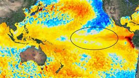 聖嬰現象發展中（圖／翻攝自鄭明典 臉書）