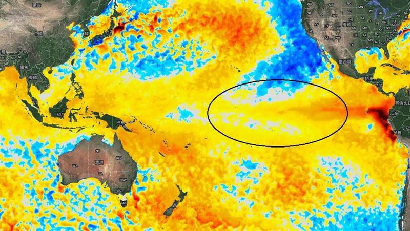 聖嬰現象發展中　鄭明典：颱風生成點更遠