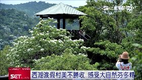 (推)母親節西湖1824I18111