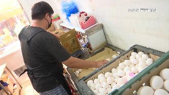 不缺了！蛋行取消限購　老闆：批發價在秤