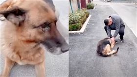 汪汪與領犬員重逢時，不斷撒嬌，甚至還哭了出來。（圖／翻攝自The OverSeaTV YouTube）
