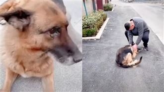 2年後重逢老搭檔　退休警犬爆哭惹鼻酸