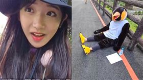 企鵝妹,徒步環島,狂粉,跟蹤,三峽時,死企鵝