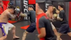 （圖／翻攝自IG／toyzlol）