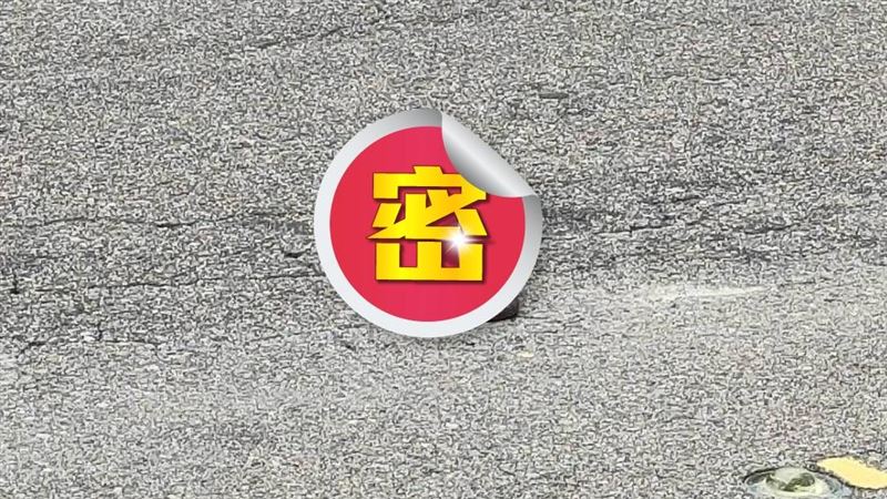 熱翻！「猛獸」也受不了？柏油路上放空
