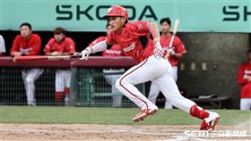 ▲味全龍外野手郭天信敲安，打回球隊第1分。（圖／記者劉彥池攝影）