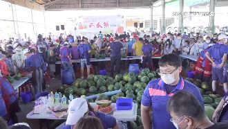 二崙西瓜節人潮爆滿　西瓜甜度上看15度