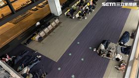 星宇  飛機  班機