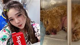 小甜甜。（圖／翻攝自臉書）