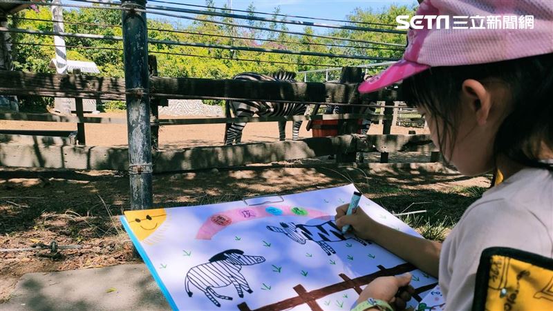 頑皮世界寫生比賽　女童選斑馬原因笑噴網