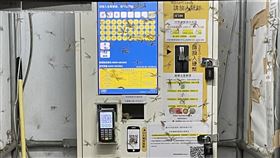 網友在繳停車費時看到大水蟻。（圖／翻攝自《路上觀察學院》）