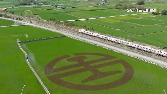 玉里稻田現台鐵logo　遊客搶拍照成熱點