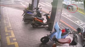 台南,車禍,母女,孕婦,死亡,成功路