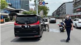 ▲張男不滿被後方車輛按喇叭，竟當街蛇行驟停導致車禍，張男事後不滿，還找北市議員張文潔指控警方（圖／翻攝畫面）