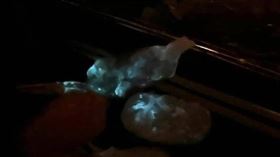 0509壽司 翻攝自爆料公社