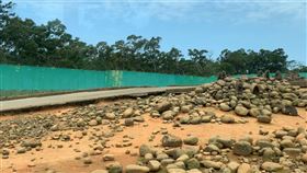 六福村,東非狒狒,改善,林務局,複查（圖／翻攝畫面）