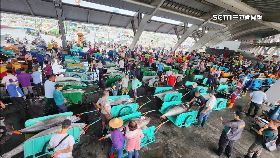 文 黑鮪樂豐收1200