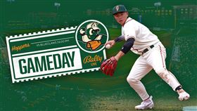 ▲高階1A海盜隊鄭宗哲敲二壘安打，貢獻1打點。（圖／翻攝自Greensboro Grasshoppers推特）