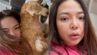 小甜甜稱不可能虐狗　拍片道歉認情緒失控