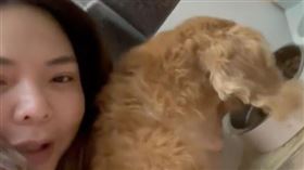 小甜甜（圖／翻攝自小甜甜臉書）