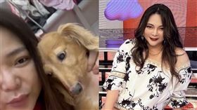 小甜甜（圖／翻攝自小甜甜臉書）