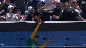 ▲貝德（Harrison Bader）的全壘打球迷疑似干擾接球。（圖／翻攝自MLB官網）
