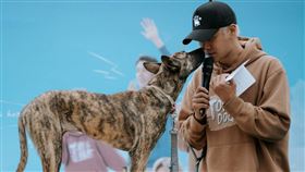 羅志祥非常愛狗。