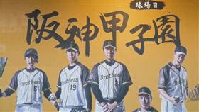 中信兄弟2019年的「阪神甲子園球場日」▲（圖／翻攝自兄弟Fans Club臉書）