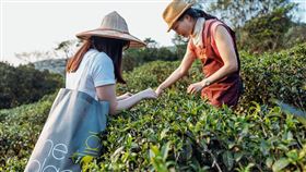 2023「老爺式旅行」獨家遊程全新登場，住宿搭配獨家遊程，雙人成行每晚2,699元起。（圖／旅宿業者提供）