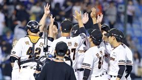 ▲韓火鷹主場在大田。（資料照／取自韓火鷹FB）