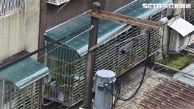 電線桿,嫌惡設施。（圖／記者陳韋帆攝影）