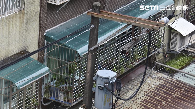 獨／天降危機！戴雲發：看過電線桿倒整排